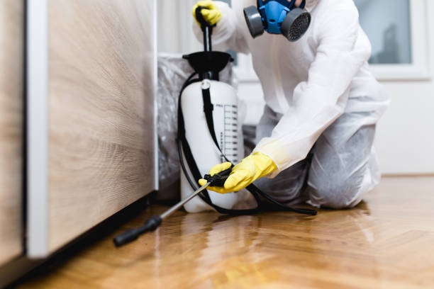 Best Mosquito Control Services  in Somerset, MD