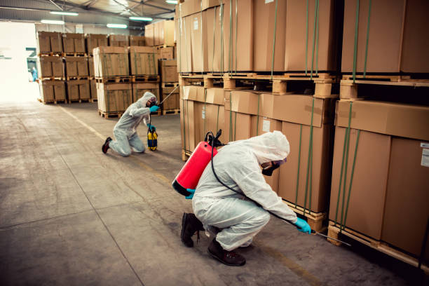 Best Pest Inspection Near Me  in Somerset, MD
