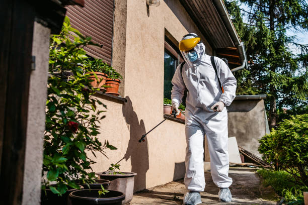 Best Affordable Pest Control Services  in Somerset, MD