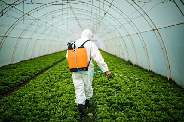 Best Affordable Pest Control Services  in Somerset, MD