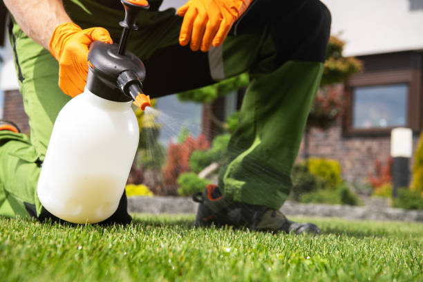 Somerset, MD Pest Control Company