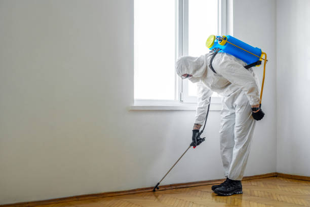 Best Pest Control for Restaurants  in Somerset, MD