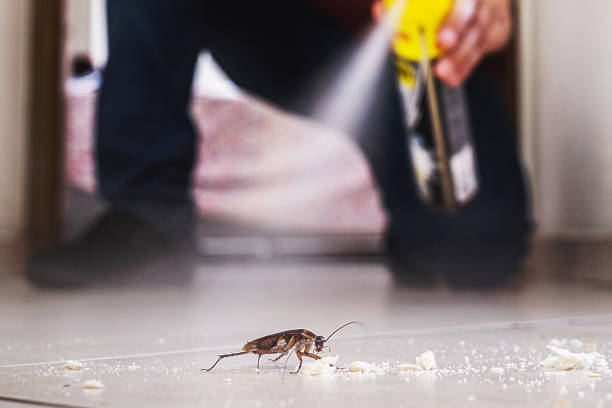 Best Wildlife Control Services  in Somerset, MD